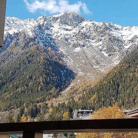 Vue Magique En Hypercentre Avec Parking Privatif Lejlighed Chamonix Eksteriør billede
