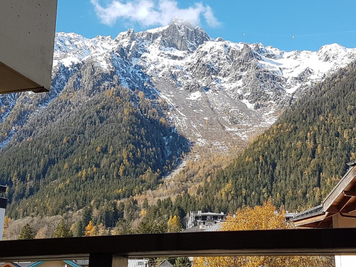 Vue Magique En Hypercentre Avec Parking Privatif Chamonix Eksteriør billede